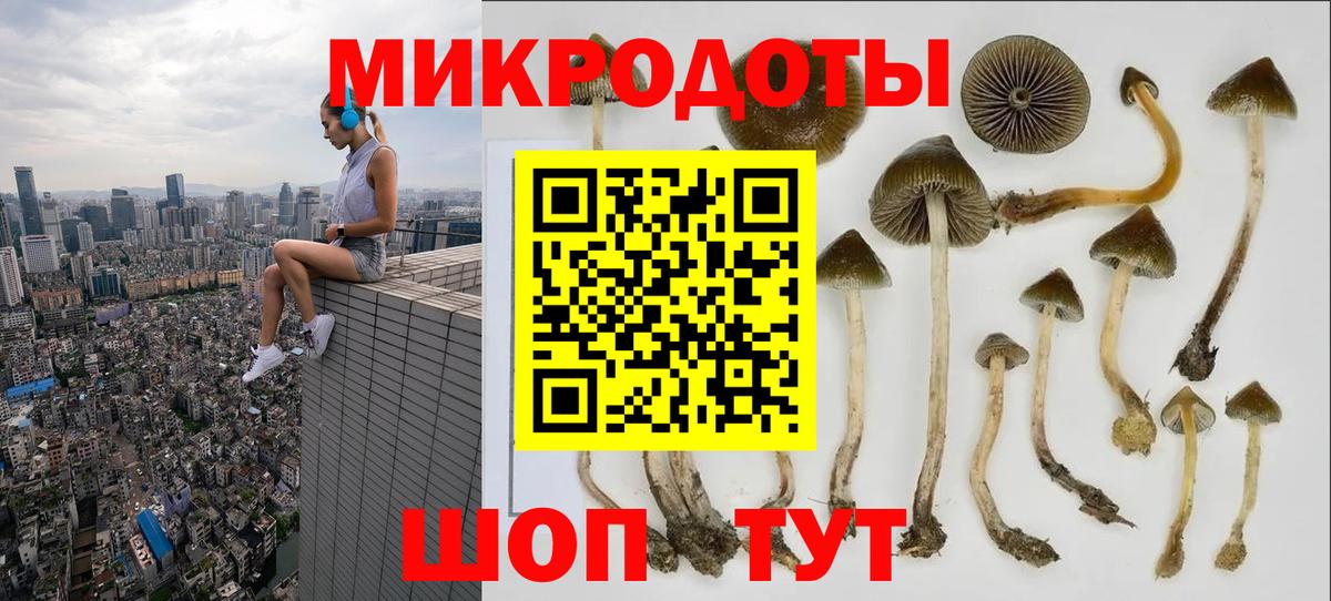 Псилоцибиновые грибы прущие грибы Изобильный