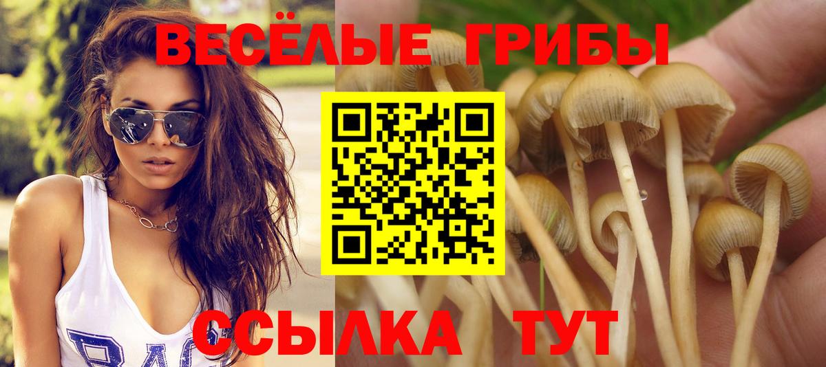 Галлюциногенные грибы MAGIC MUSHROOMS  Галлюциногенные грибы MAGIC MUSHROOMS  Вход с VPN  Изобильный 